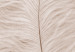 Quadro contemporaneo Piuma bianca -  Composizione in stile scandi boho 136512 additionalThumb 5