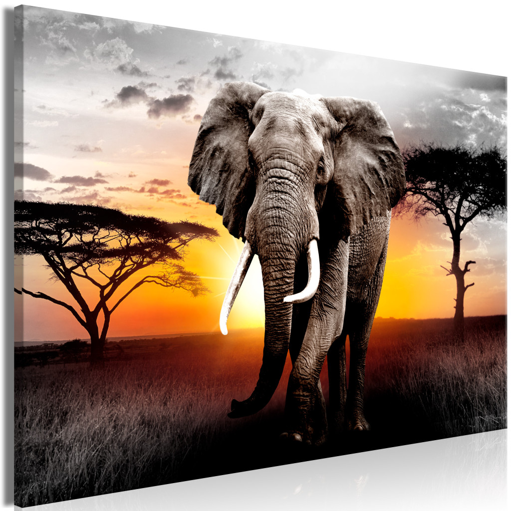 Schilderij Elephant On The Savannah [Large Format]