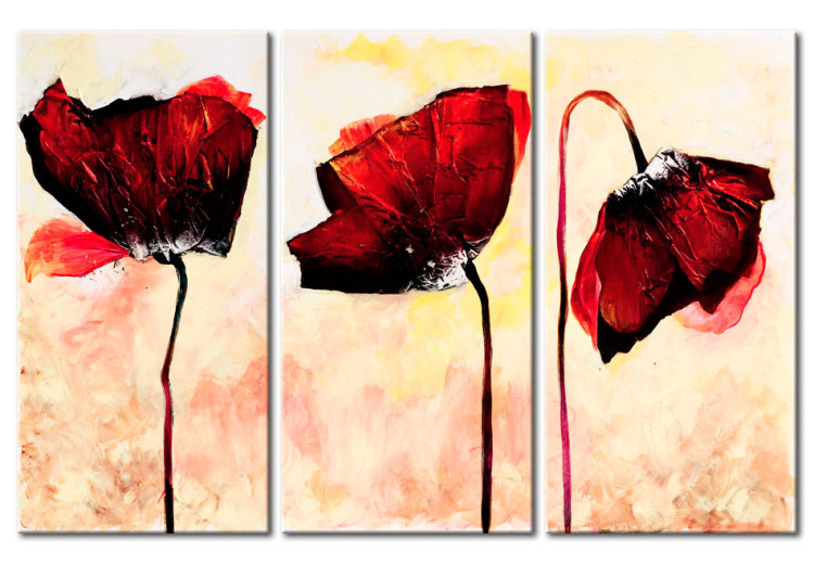 Tableau tendance Trois fleurs rouges (3 pièces) - Coquelicots sur fond délicat 48512
