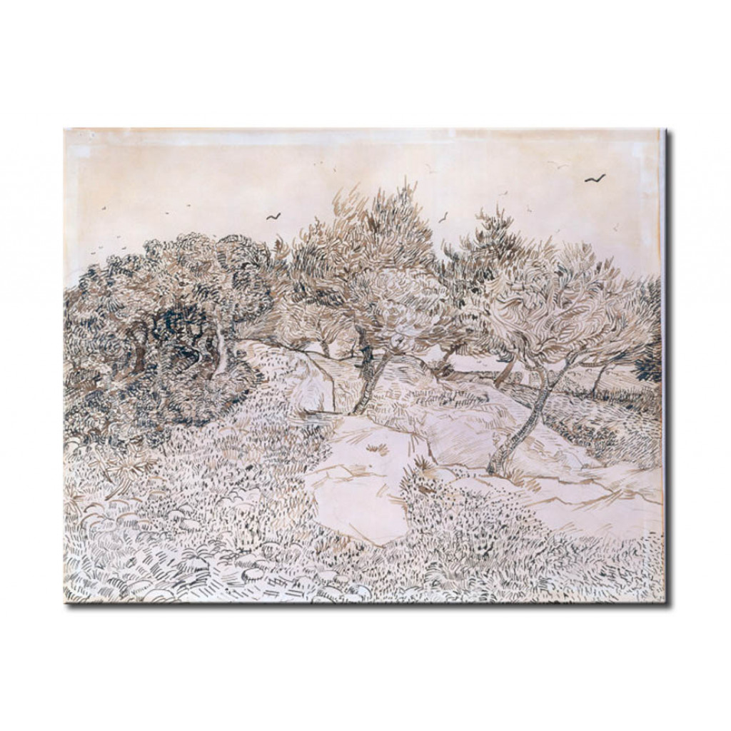 Schilderij  Vincent Van Gogh: Oliviers à Montmajour