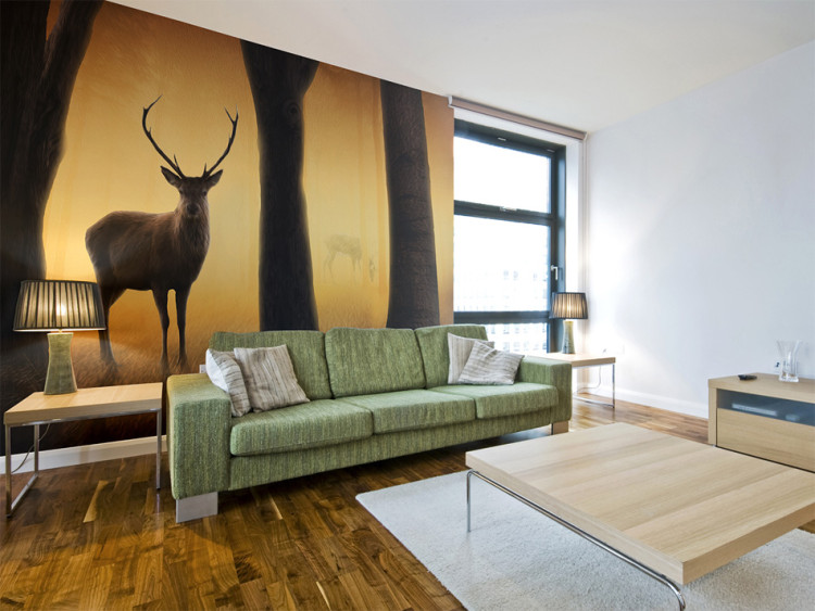 Wall Mural Forest Nature - Deer with antlers in the forest early in the morning with trees 61312