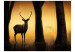 Wall Mural Forest Nature - Deer with antlers in the forest early in the morning with trees 61312 additionalThumb 1
