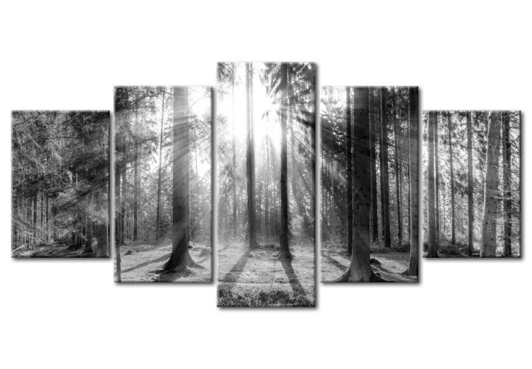 Leinwandbild Forest of Memories