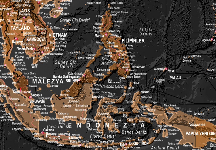 Decoración en corcho Brown World Map [Cork Map - Turkish Text] 105922 additionalImage 7