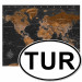 Decoración en corcho Brown World Map [Cork Map - Turkish Text] 105922 additionalThumb 5
