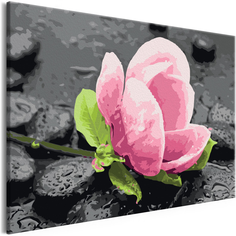 Obraz do malowania po numerach Różowy kwiat i kamienie 107522 additionalImage 5