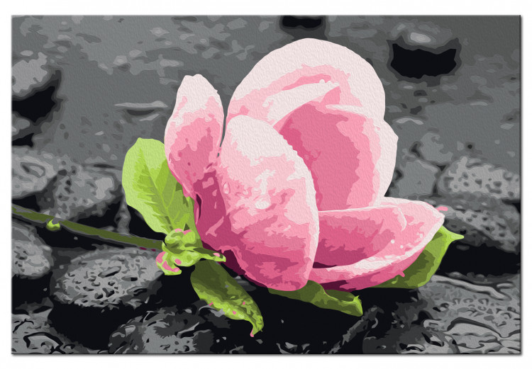 Obraz do malowania po numerach Różowy kwiat i kamienie 107522 additionalImage 6