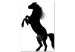 Canvas A rearing horse - black and white illustration of a horse silhouette 118822