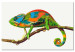Obraz do malowania po numerach Kameleon 119222 additionalThumb 6