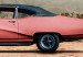 Photo Wallpaper Pink, American classic - photo of desert with car and mountains 136322 additionalThumb 3
