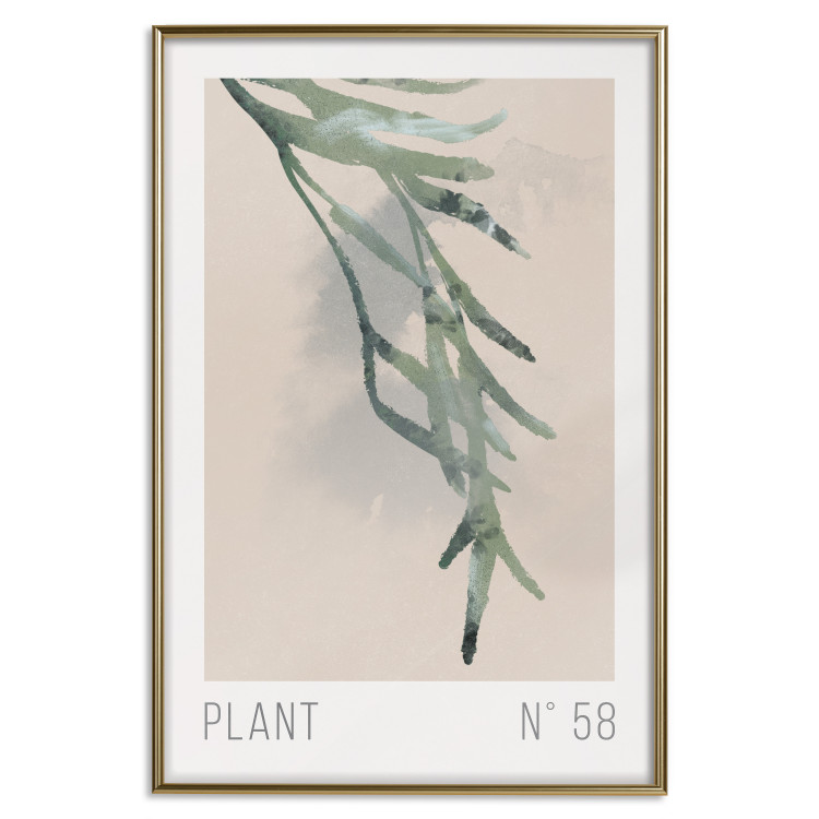 Poster decorativo Plant Number 58 [Poster] 142322 additionalImage 33