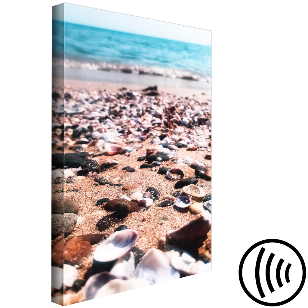 Schilderij  Zee: Summer Beach - Seashells Landscape On The Shore Of The Blue Sea