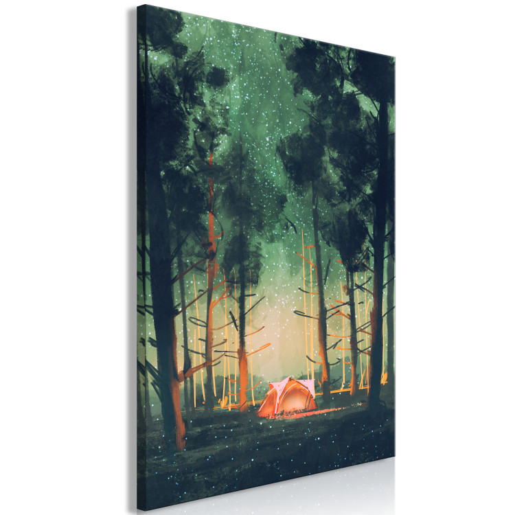 Obraz Kemping w lesie - nocne niebo z gwiazdozbiorami pośród drzew 149822 additionalImage 2