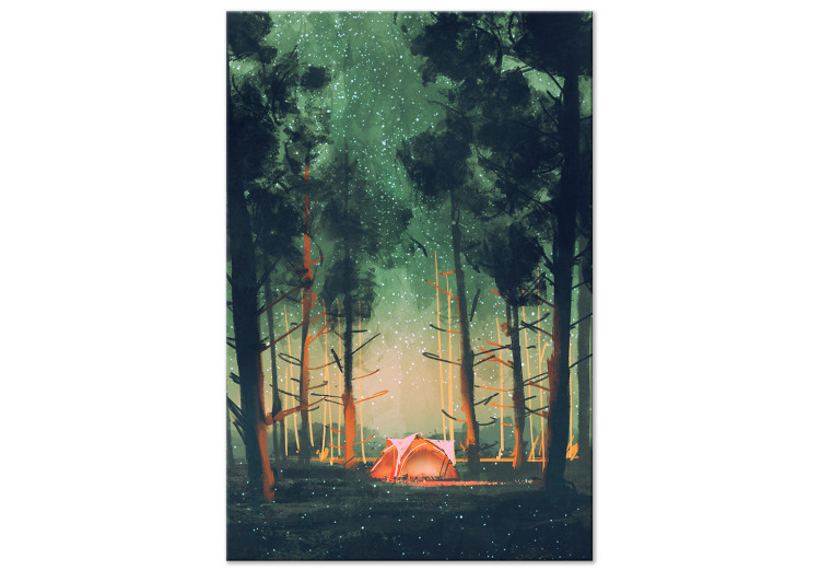 Obraz Kemping w lesie - nocne niebo z gwiazdozbiorami pośród drzew 149822