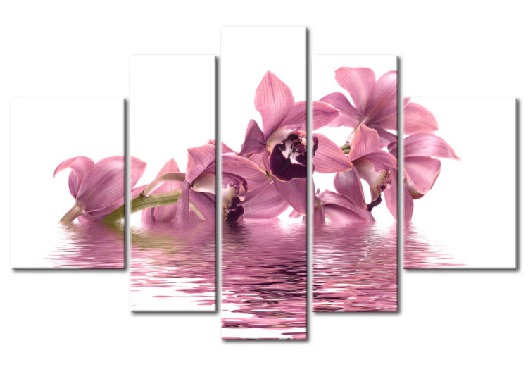 Bild auf Leinwand Rose Orchidee 50422