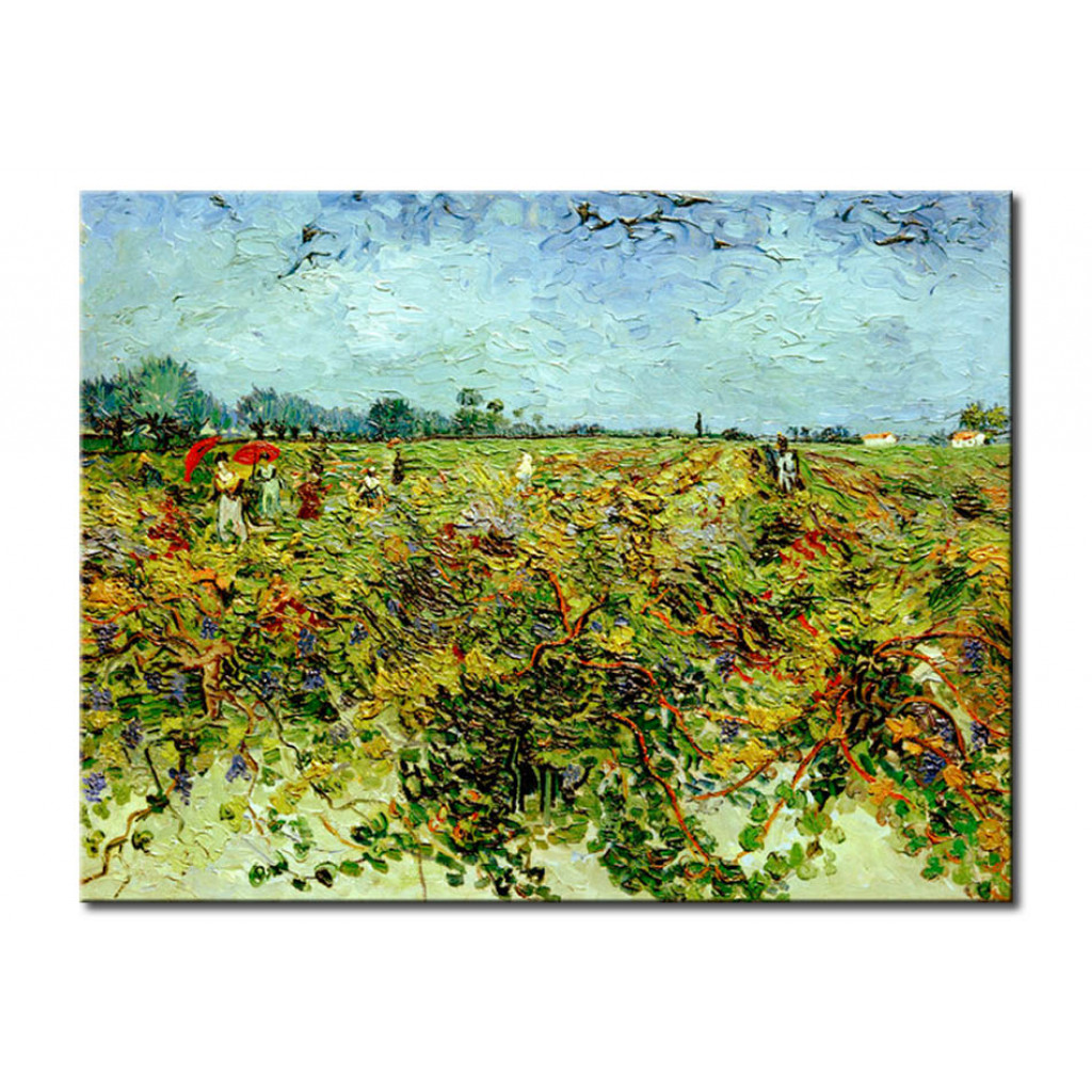 Schilderij  Vincent Van Gogh: The Green Vineyard