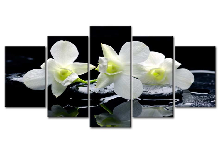Leinwandbild Melancholic orchids 58522