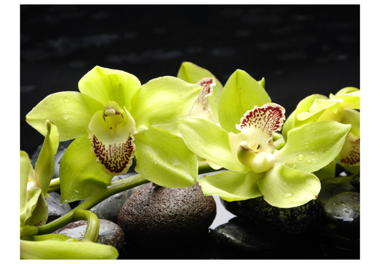 Foto Tapete Still life with pebble and orchid 60222 additionalImage 1