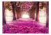 Fotomural Pink path 60422 additionalThumb 1