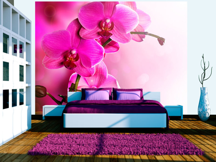 Wall Mural Pink Orchid Flowers - Natural Floral Motif on a Delicate Background 60622