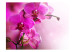 Wall Mural Pink Orchid Flowers - Natural Floral Motif on a Delicate Background 60622 additionalThumb 1