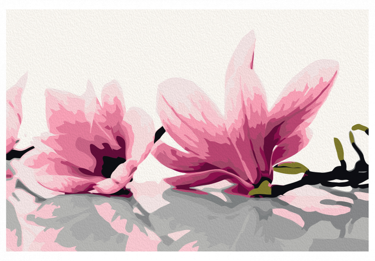 Quadro da dipingere Magnolia (sfondo bianco) 107332 additionalImage 7