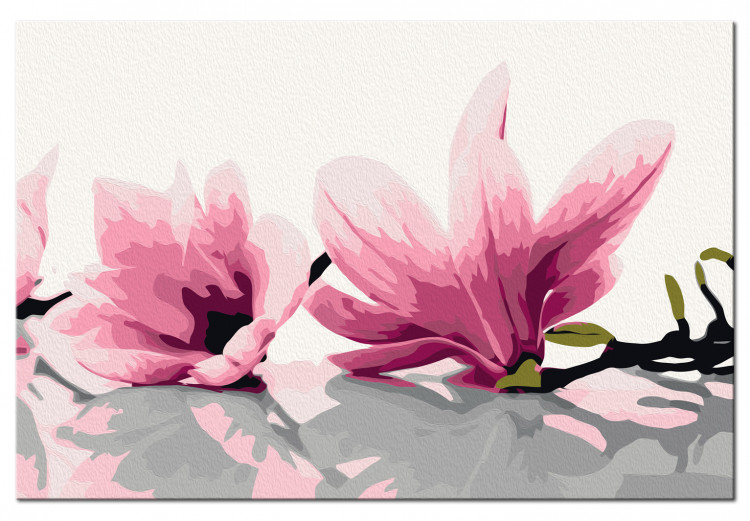 Quadro da dipingere Magnolia (sfondo bianco) 107332 additionalImage 5