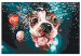 Paint by number Underwater Dog 138432 additionalThumb 6