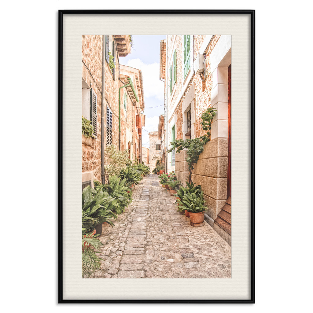 Posters: Quiet Street - View Of Historic Buildings And Vegetation