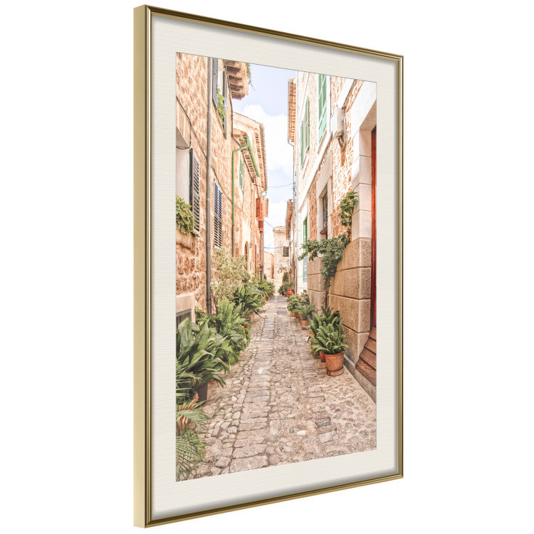 Poster Quiet Street - View of Historic Buildings and Vegetation 145232 additionalImage 10