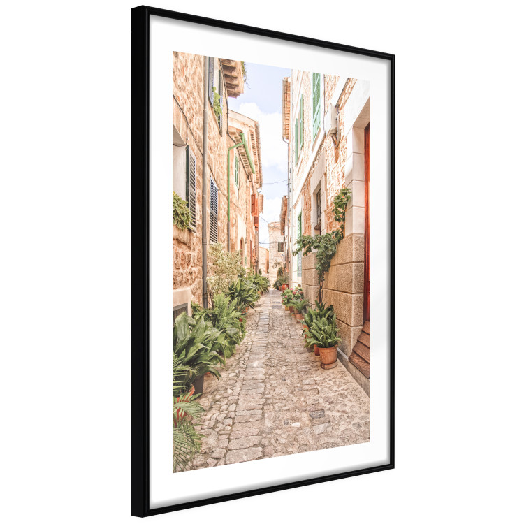 Poster Quiet Street - View of Historic Buildings and Vegetation 145232 additionalImage 8