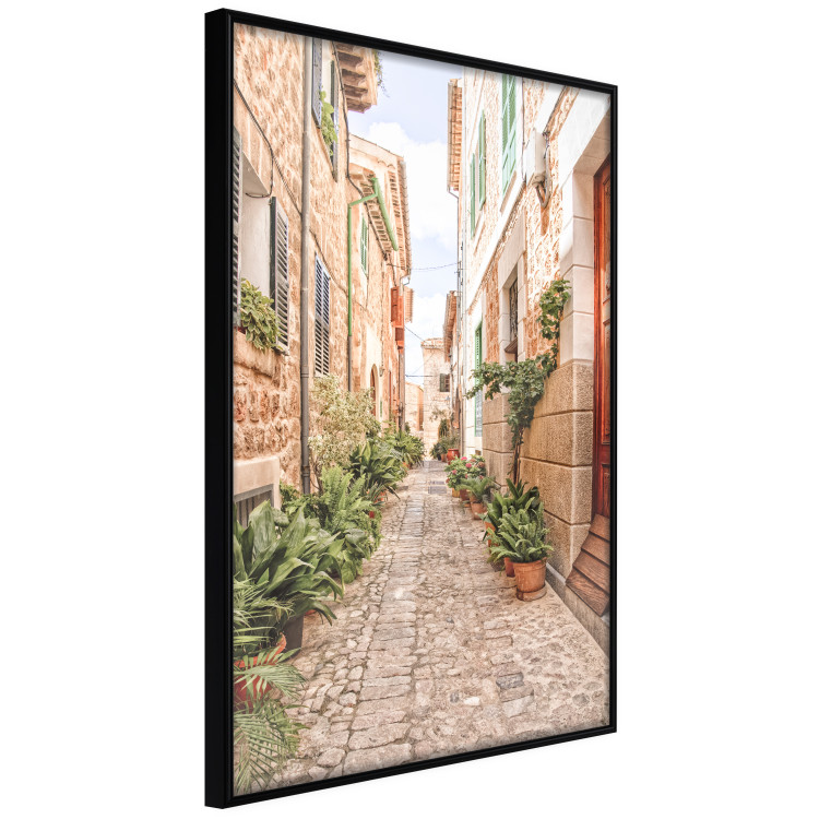 Poster Quiet Street - View of Historic Buildings and Vegetation 145232 additionalImage 6