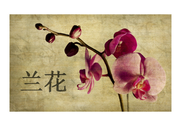 Wall Mural Japanese orchid 60232 additionalImage 1
