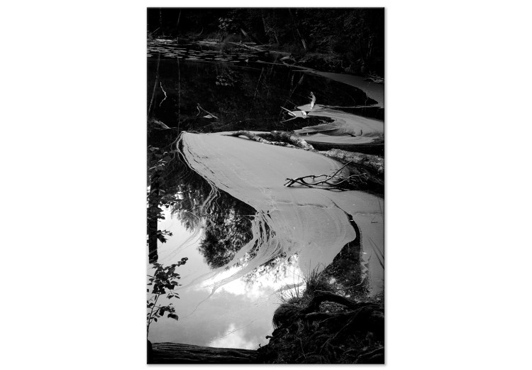 Obraz na płótnie Staw - mroczny wodny pejzaż na czarno-białej fotografii