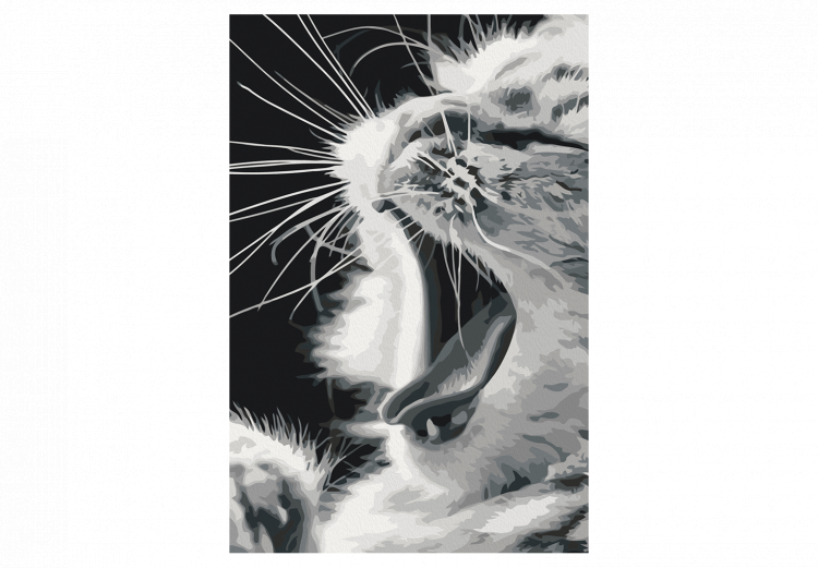 Paint by number Yawning Kitten 134542 additionalImage 7