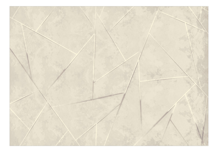 Carta da parati Geometria industriale - Una composizione moderna in colore beige 138442 additionalImage 1