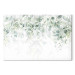Cuadro en vidrio acrílico Delicate Touch of Nature - Plants in Pastel Delicate Greens on a White Background [Glass] 151042 additionalThumb 2