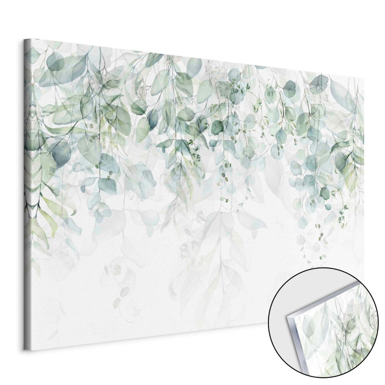 Obraz na akrylu Delikatny dotyk natury - rośliny w pastelowych delikatnych zieleniach na białym tle [Glass]