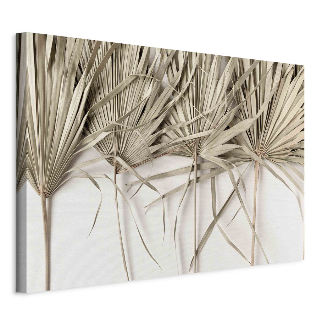 Boho Palm - Composition With Dried Palm Leaves On A Light Background [Large Format]