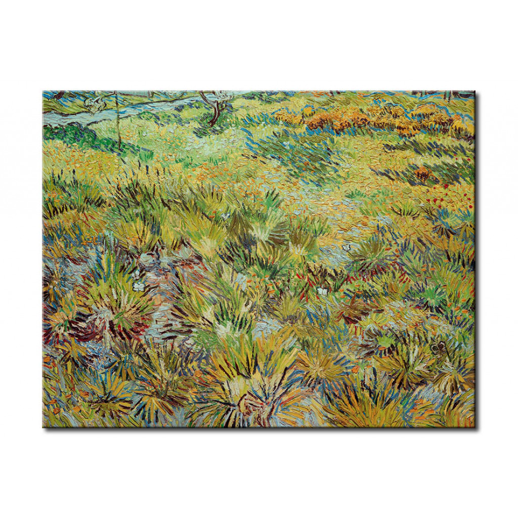 Schilderij  Vincent Van Gogh: Meadow In The Garden At The Hospital Saint-Paul