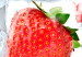 Obraz Frozen fruits 89942 additionalThumb 4