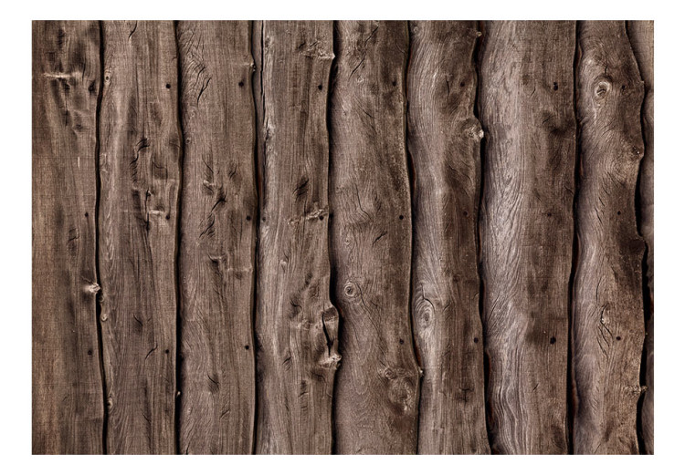 Fototapeta Drewniana melodia - tło o teksturze pionowych desek z surowego drewna 96142 additionalImage 1