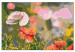 Wandbild zum Malen nach Zahlen Colorful Meadow 116752 additionalThumb 6