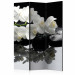 Biombo decorativo Spa, Stones and Orchid [Room Dividers] 124252
