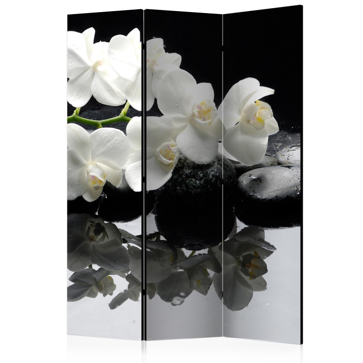 Spa, Stones and Orchid [Room Dividers]