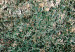Tableau tendance Tuscan Green (1 Part) Vertical 129452 additionalThumb 4