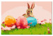 Malen nach Zahlen-Bild für Erwachsene Easter Rabbit 132052 additionalThumb 6