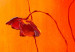 Leinwandbild Mohnblumenwiese (1-teilig) - Sonnige Komposition aus roten Blumen 48552 additionalThumb 3