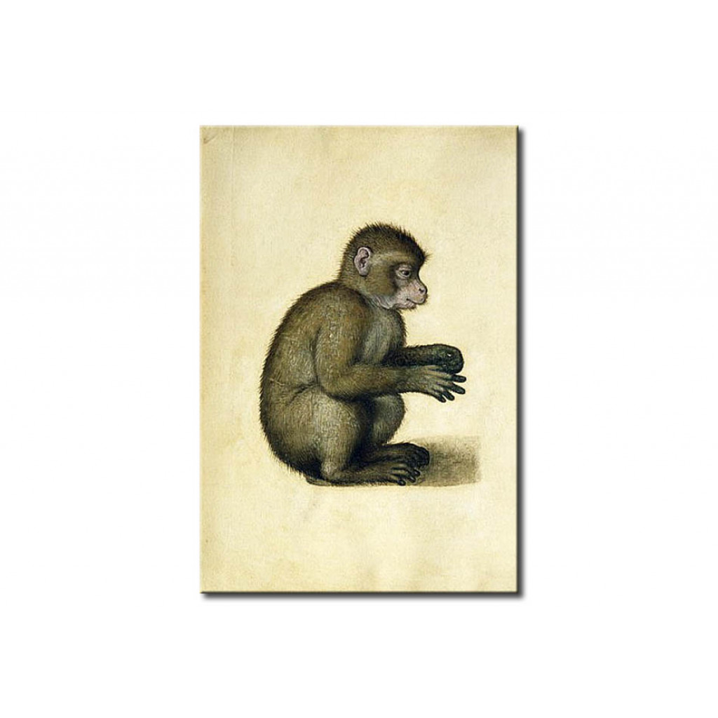 Reprodução Da Pintura Famosa A Monkey