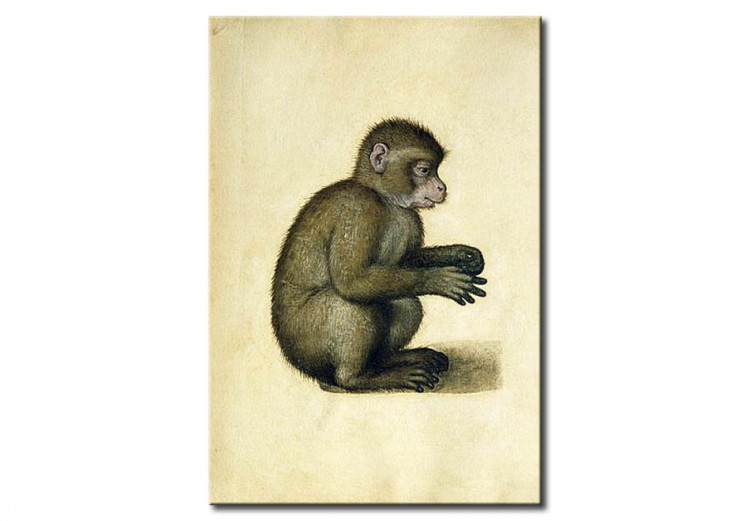 Reproducción de cuadro Un mono 53852